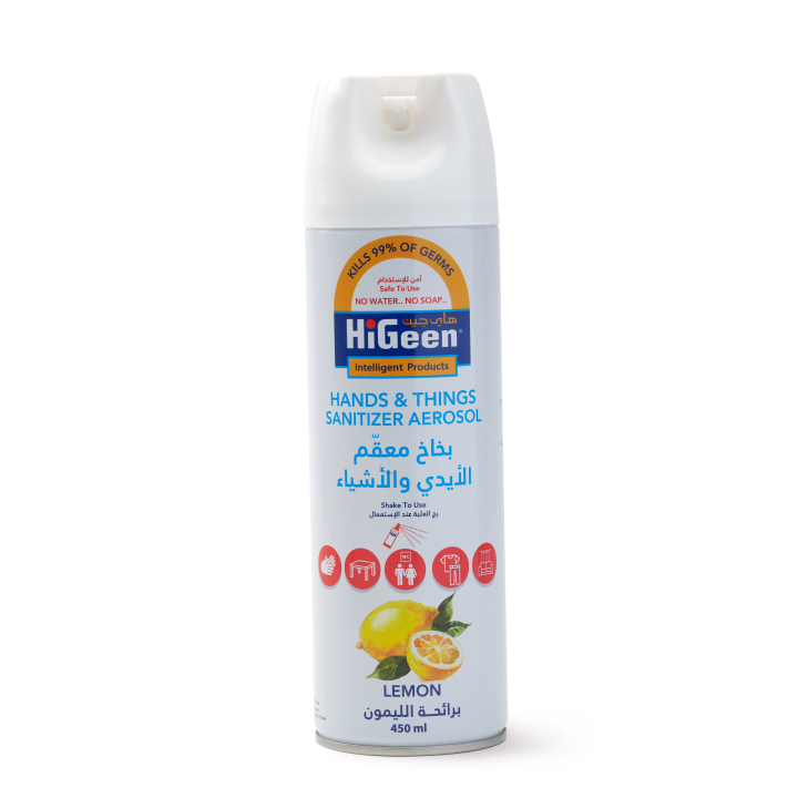 Higeen Hands & Things Sanitizer Aerosol 450ML
