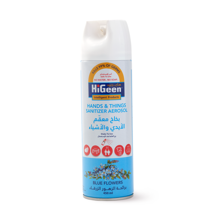 Higeen Hands & Things Sanitizer Aerosol 450ML