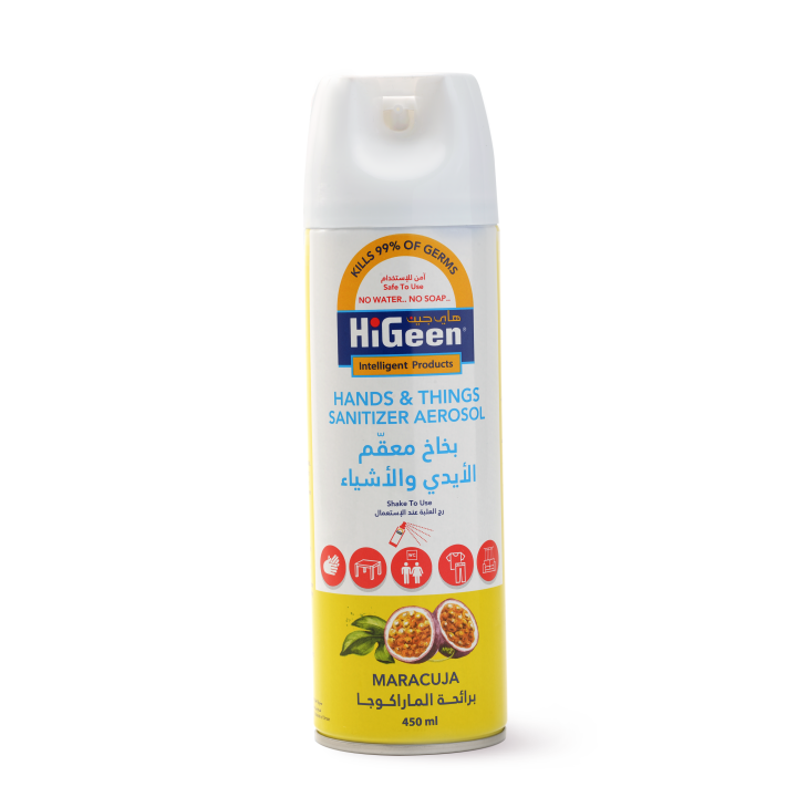 Higeen Hands & Things Sanitizer Aerosol 450ML