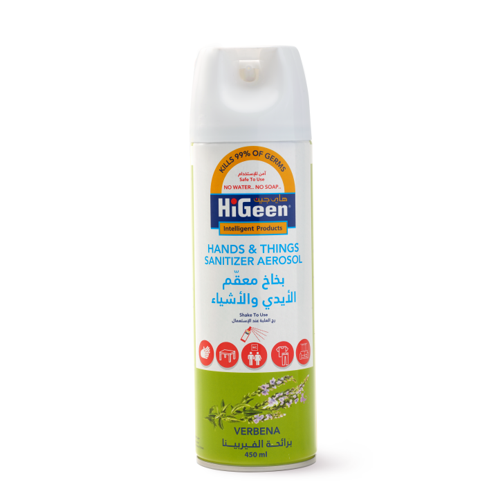 Higeen Hands & Things Sanitizer Aerosol 450ML