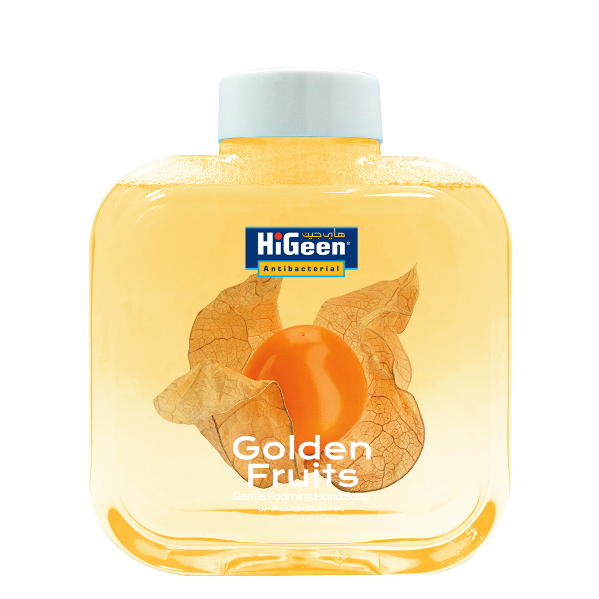 Refill HiGeen Gentle Foaming Hand Soap 500ml